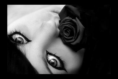 l'amour c'est quoi ????